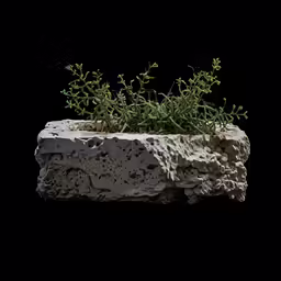 an unusual cement planter with some leaves growing in it