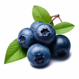 blueberries with leaves still attached sitting next to each other