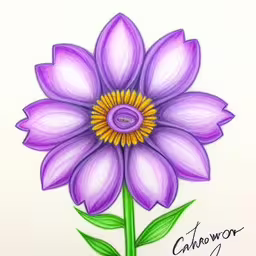 a drawing of a purple flower on white paper,a drawing of a purple flower with green stems