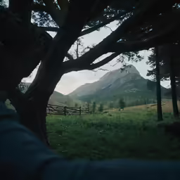 the mountain is on a hillside next to the trees