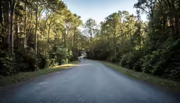 the long road that is right next to the woods