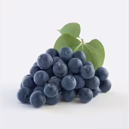 blue grapes with leaf placed in front of a white background