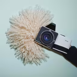 the camera has been placed by the long fuzzy white fur