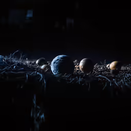 a small collection of eggs are in the darkness