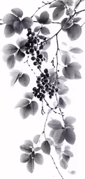 black berries and leaves on a tree branch
