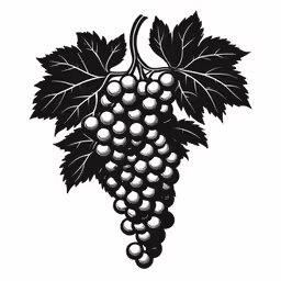grapes hanging from the vine on a vine
