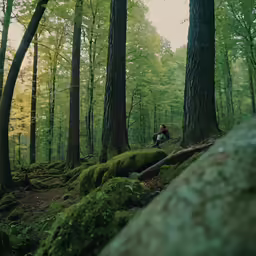 a person in a forest taking pictures