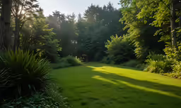 a field is shown that has the sun shining in the background