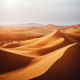 a landscape of sand dunes and trees, in the distance