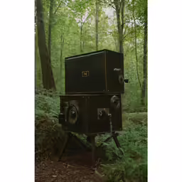 a dark box sitting in the middle of a green forest