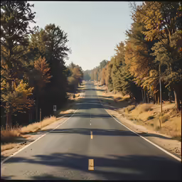 empty highway surrounded by trees in autumn