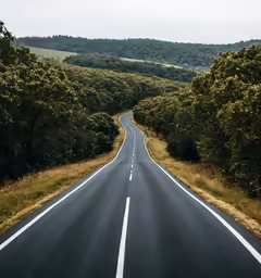 the empty road is near some beautiful green trees