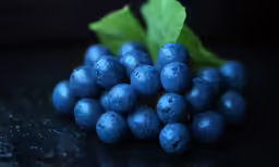 there are many blue grapes that can be used as decoration
