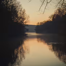 a couple of birds flying over a large body of water