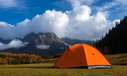 a tent pitched up on top of a lush green field