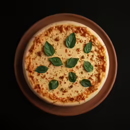 a close up of a plate of pizza on a table