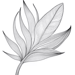 an illustration of a leaf in a tattoo style,a drawing of a palm leaf by person