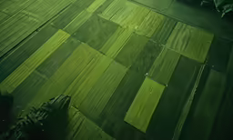 this is an aerial photo of someone standing on a wooden floor