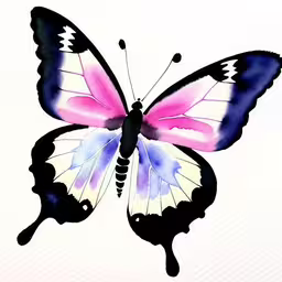 a butterfly painted with a paintbrush on top of paper,a colorful butterfly sitting on top of a white wall,a painting of a colorful butterfly on a white background,a pink butterfly on white paper with blue background,a close up of a watercolor painting of a butterfly