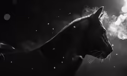 an extremely dark, heavily colored, horse, with a bright glow behind it