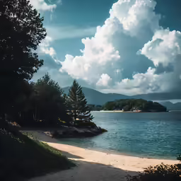 there is a sandy path near the water