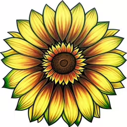 a sunflower drawing on a white background,a yellow sunflower with leaves is shown