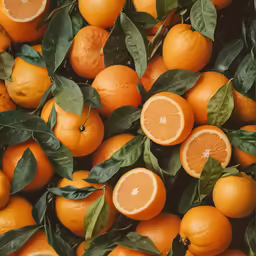 oranges in the middle of the tree with green leaves