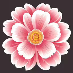 large floral print in pink on a black background,a pink and white flower with black background