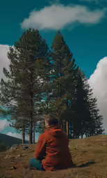 the man sits on the grass beneath the large tree
