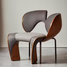 a chair that has an arm rest and a backrest