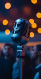 the photo is taken close up and has a microphone in front