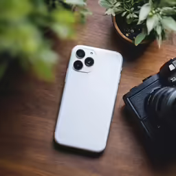an iphone case and some plants and a camera