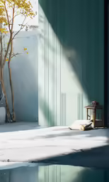 a green wall next to a potted plant and mirror