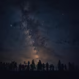 a very distant view of some tree branches