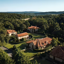 an aerial view of a mansion surrounded by trees