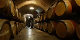 several barrels are lined up in an old wine cellar