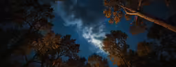 the night sky with clouds above trees at night
