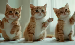 a group of kittens standing next to each other on a bed