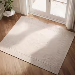 the large rug has been placed by a white window