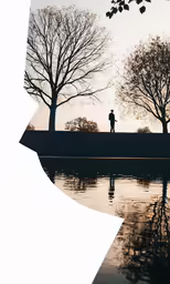 silhouette of a man walking along a lake in the park