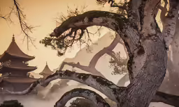a big tree that is standing in the fog
