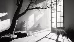 black and white photo of sun coming in from window with tree