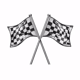 crossed checkerboard flags are flying on the white background