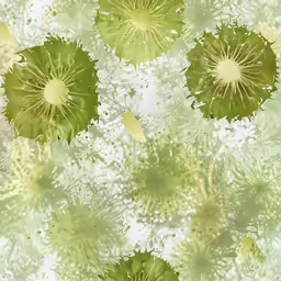a picture of some green plants and leaves