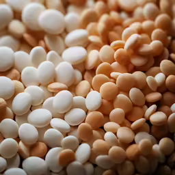 close up of small white and brown beans