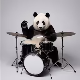 a panda bear is playing drums with his arms up