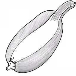 a large, long banana is on the end of it