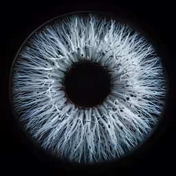 an unusual looking picture of a white eye