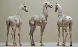 three white horses standing on one side and two others on the other