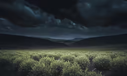 an open field in front of a mountain